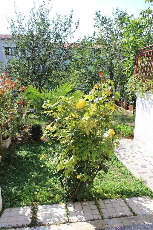 Pet Friendly Apartment In Porec With Wifi Phòng bức ảnh